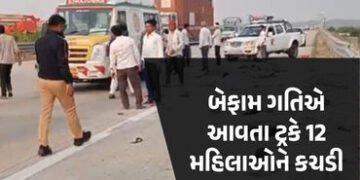 મહારાષ્ટ્રમાં ભયાનક અકસ્માત, બેફામ ગતિએ આવતા ટ્રકે 12 મહિલાને કચડી, 8ના મોત | Samruddhi Expressway T…