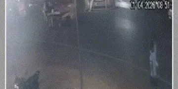 અમદાવાદ: કૃષ્ણનગરમાં બેફામ AMTS બસે બળદગાડાને અડફેટે લીધું, ટોળાએ બસમાં તોડફોડ કરી | AMTS Bus Accide…