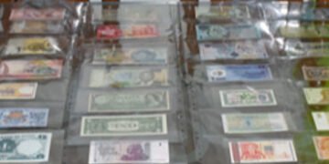 વડોદરાના એન્જિનિયર પાસે વિશ્વના ૮૨ દેશોની ‘૧’ની નોટોનો અનોખો સંગ્રહ | A unique collection of ‘1’ not…