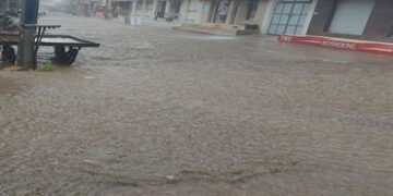જામનગર અને દ્વારકા જિલ્લામાં ઝરમર ઝાપટાં:ભાટીયામાં તોફાની અર્ધો ઈંચ | Rain showers in Jamnagar and D…