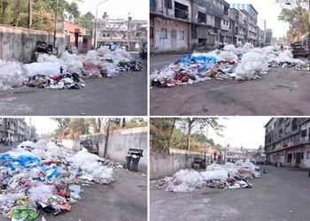 સુરતના કતારગામમાં સિંગણપોર ખાતેની સોલિડ વેસ્ટ સાઈડ પર કચરાના ઢગલાથી લોકોના આરોગ્ય સામે ખતરો | Garbag…