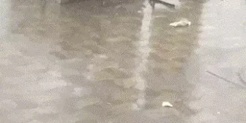 અમદાવાદમાં ભારે પવન અને કરા પડવાની સાથે કમોસમી વરસાદ | Unseasonal rain with strong winds in Ahmedaba…