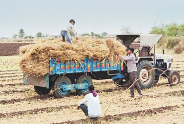સુરેન્દ્રનગર જિલ્લામાં કમોસમી વરસાદથી ઉનાળુ પાકને અસર | rains affect summer crops in Surendranagar d…