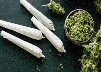 ચિલોડા પાસેથી ૧૧ કિલોથી વધુ ગાંજા સાથે બે શખ્સો ઝડપાયા | Two people arrested with over 11 kg of ganj…