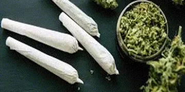 ચિલોડા પાસેથી ૧૧ કિલોથી વધુ ગાંજા સાથે બે શખ્સો ઝડપાયા | Two people arrested with over 11 kg of ganj…