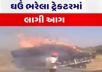 નડિયાદ પાસે હાઇવે પર ઘઉં ભરેલી ટ્રકમાં આગ ભભૂકી | Fire breaks out in a truck loaded with wheat on th…
