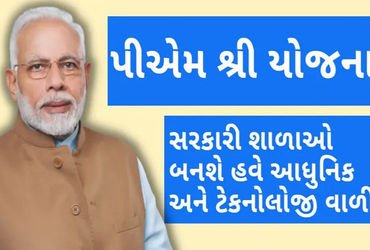 442 લાખના ખર્ચે જિલ્લાની 21 પી.એમ.શ્રી શાળાની સુવિધા વધારાઈ | Facilities of 21 PM Shree schools in t…