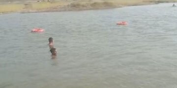 આણંદ: મહીસાગર નદીમાં નહાવા પડેલા વેટરનરી કોલેજના 4 વિદ્યાર્થીઓ ડૂબ્યા, બેના કરૂણ મોત | anand khareda…