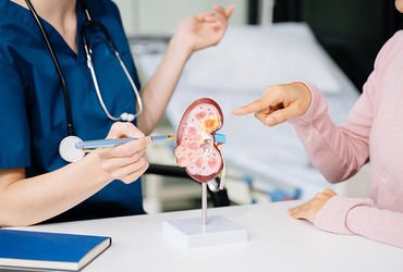 ગુજરાતમાં કિડનીના દર્દીઓ વધ્યાં, ટ્રાન્સપ્લાન્ટમાં 10 વર્ષમાં 50%નો વધારો, યુવાનોએ ટેન્શન વધાર્યું |…