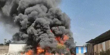 પંચમહાલ: હાલોલ-પાવાગઢ રોડ પર સ્ક્રેપના ગોડાઉનમાં ભીષણ આગ, ચપેટમાં આવેલા રહેણાંક મકાનો પણ બળીને ખાખ |…