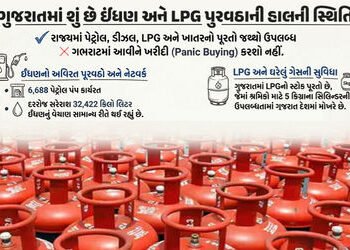 ગુજરાતમાં પેટ્રોલ-ડીઝલ અને LPG પુરવઠાની હાલની સ્થિતિ શું છે? રાજ્ય સરકારે આપી તમામ માહિતી | importan…