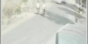 અમરેલી: ધારીના પ્રેમપરા પાસે ભયાનક અકસ્માત, કાર અચાનક પલટી ખાઇ જતા એકનું મોત, બે ઈજાગ્રસ્ત | amreli …