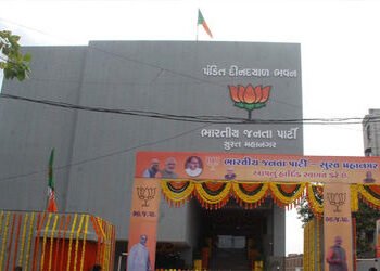 ભાજપમાં એક વ્યક્તિ એક હોદ્દો માત્ર દેખાડા માટે જ છે ? : પહેલા સંગઠનમાં હોદ્દો મેળવવા તો હવે ટિકિટ મે…