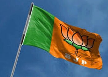 વડોદરામાં આચાર સંહિતાનો કડક અમલ શરૂ : ભાજપના ઝંડા, બેનરો ઉતારાયા | Strict implementation of code of …