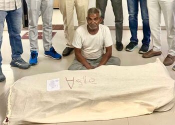 અમરેલી: લાઠીના ચાવંડ રોડ પર વાડીમાં 12 કિલો લીલો ગાંજાની ખેતી ઝડપાઈ, SOG ત્રાટકી, એકની ધરપકડ | 12 kg…