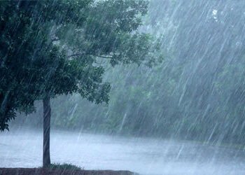 શહેરમાં વીજ ગર્જના સાથે પોણો ઈંચ કમોસમી વરસાદ | A quarter inch of unseasonal rain accompanied by thu…