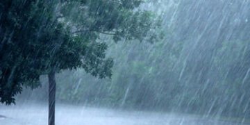 શહેરમાં વીજ ગર્જના સાથે પોણો ઈંચ કમોસમી વરસાદ | A quarter inch of unseasonal rain accompanied by thu…