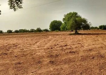 ભારતમાં ટોચનાં ૧૦ ટકા ગ્રામીણ પરિવારો પાસે ૪૪ ટકા જમીન | Top 10 per cent rural households control 44…