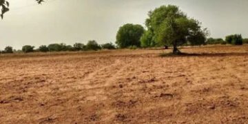 ભારતમાં ટોચનાં ૧૦ ટકા ગ્રામીણ પરિવારો પાસે ૪૪ ટકા જમીન | Top 10 per cent rural households control 44…