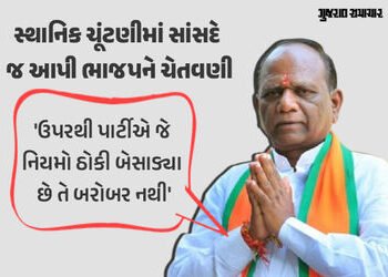 ‘સ્થાનિક સ્વરાજ્યની ચૂંટણીમાં ભાજપ જ ભાજપને હરાવશે’, સાંસદ મનુખ વસાવાનું વિસ્ફોટક નિવેદન | Gujarat L…