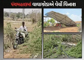 પંચમહાલના શહેરામાં આકાશી આફત: વાવાઝોડા સાથે તોફાની વરસાદમાં 2 ના મોત, ભારે તબાહી | panchmahal shehra…
