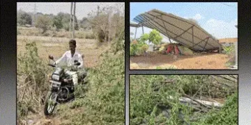 પંચમહાલના શહેરામાં આકાશી આફત: વાવાઝોડા સાથે તોફાની વરસાદમાં 2 ના મોત, ભારે તબાહી | panchmahal shehra…