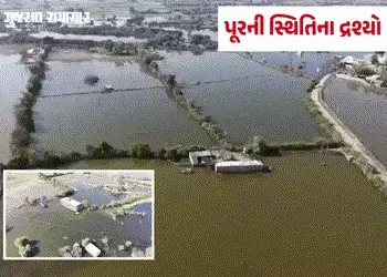 વાવ-થરાદ: પૂરના 8 મહિના બાદ પણ લેડાઉ ગામ જળમગ્ન, અન્યાયનો જવાબ ચૂંટણીમાં આપવાની ગ્રામજનોની ચીમકી | F…