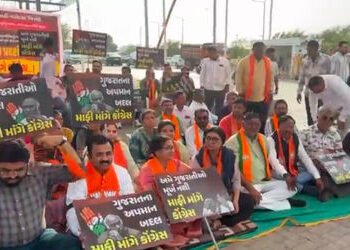 વડોદરા જિલ્લા ભાજપનો ફ્લોપ શો,ટિકિટ માટે રાફડો..ખડગેના વિરોધના કાર્યક્રમમાં માંડ 50 કાર્યકર | Vadoda…