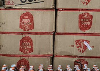 વાઘોડિયામાં ટુ વ્હિલર પર બીયર લઇને જતા બે શખ્સોની ધરપકડ | beer caught near rustampura