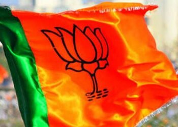 વડોદરા જિલ્લાની પાલિકા અને તા. પંચાયતોમાં 21 મુસ્લિમોને ભાજપની ટિકિટઃસૌથી વધુ ડભોઇમાં પસંદગી | BJP g…