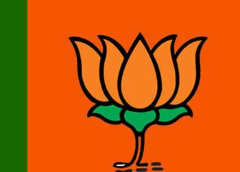 વડોદરા જિલ્લા પંચાયતની 34 બેઠકોમાં ભાજપે માત્ર 2 ને રિપિટ કર્યા,પ્રમુખ-ઉપપ્રમુખ અને હોદ્દેદારો કપાયા…