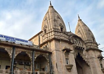 વડોદરા પાલિકાની ચૂંટણીમાં ઉમેદવારી પત્ર ભરવા કાલે અંતિમ દિવસ : ઉમેદવારો ઉમટી પડશે | Tomorrow is the …