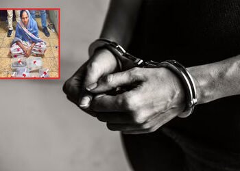 વડોદરામાં ગોરવાના ગંગાનગરના મકાનમાંથી ગાંજા સાથે મહિલા પકડાઈ, પુત્ર ફરાર | Woman caught with ganja f…