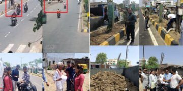 વડોદરામાં જાહેર માર્ગ પર પશુ છોડનાર અને ગંદકી કરનાર પશુમાલિકો સામે VMCની દંડાત્મક કાર્યવાહી | VMC ta…