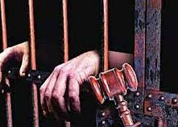 યુવાન સાથે ઠગાઈના કેસમાં લૂંટેરી દુલ્હનનાં પતિ અને દલાલને 2 વર્ષની સજા | Husband and broker of a bri…