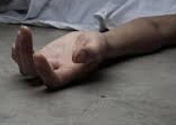 એક્સપ્રેસ હાઇવે પરથી સિનિયર સિટિઝનની લાશ મળી | Senior citizen’s body found on expressway