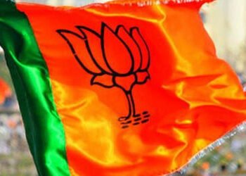 વડોદરા જિલ્લામાં કરજણ અને શિનોર તાલુકા પંચાયતમાં ભાજપને વધુ બે બેઠકનો ફાયદો | BJP win more two seats…