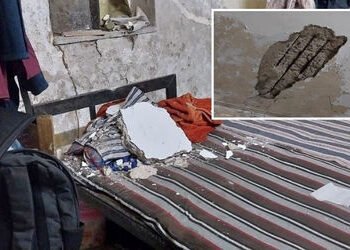 અમદાવાદ: એલ.ડી. એન્જિનિયરિંગ કોલેજની હોસ્ટેલમાં છતનો સ્લેબ તૂટ્યો, એક ઈજાગ્રસ્ત | Ahmedabad: Ceiling…