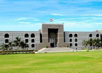 ‘કોને પૂછીને ખાનગી જમીનો પર રસ્તા બનાવ્યા?’: સુરતની પંચાયતોને હાઈકોર્ટની ફટકાર, 2013થી ભાડું ચૂકવવા …