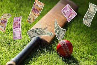 ઘોઘામાં ક્રિકેટ મેચ પર ઓનલાઇન સટ્ટો રમાડતો શખ્સ ઝડપાયો | Man caught betting online on cricket matche…