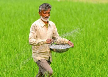 ખરીફ વાવેતર પહેલા ખાતરના ભાવ આસમાને, યુદ્ધના કારણે ભારતમાં યુરિયાના ભાવ $1,000ની નજીક પહોંચ્યા | Ind…