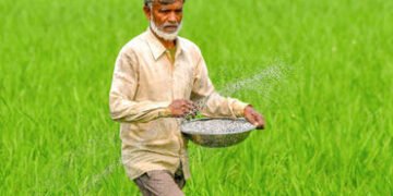 ખરીફ વાવેતર પહેલા ખાતરના ભાવ આસમાને, યુદ્ધના કારણે ભારતમાં યુરિયાના ભાવ $1,000ની નજીક પહોંચ્યા | Ind…