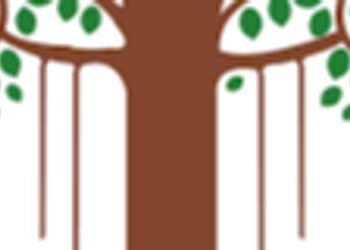 VMC ચૂંટણીમાં ૭ ફોર્મ પરત ખેંચાતા હવે ૭૬ બેઠકો માટે ૨૫૮ ઉમેદવારો વચ્ચે જંગ | 258 candidates in VMC e…