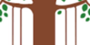 VMC ચૂંટણીમાં ૭ ફોર્મ પરત ખેંચાતા હવે ૭૬ બેઠકો માટે ૨૫૮ ઉમેદવારો વચ્ચે જંગ | 258 candidates in VMC e…