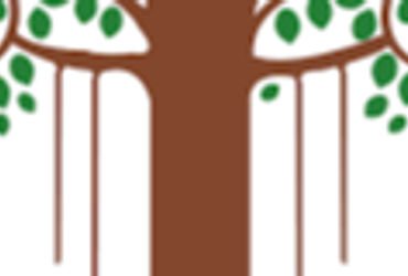 VMC ચૂંટણીમાં ૭ ફોર્મ પરત ખેંચાતા હવે ૭૬ બેઠકો માટે ૨૫૮ ઉમેદવારો વચ્ચે જંગ | 258 candidates in VMC e…