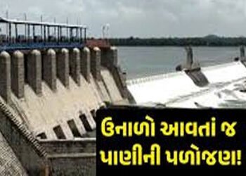 સૌરાષ્ટ્રના 9 ડેમો મેદાનમાં ફેરવાયા : રાજ્યના 30 ડેમો 90 ટકા ખાલી થયા | 9 dams in Saurashtra turned …