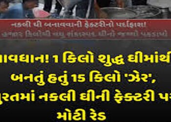 સુરતના સચિન GIDC માં નકલી ઘીની ફેકટરી : કેમિકલથી બનેલું 2029 કિલો ઘી કબજે | Fake ghee factory in Sac…