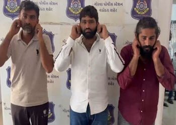 ગોરવામાં કોર્પોરેશનની ટીમ સાથે ઘર્ષણ કરી ગાય છોડાવી જનાર ત્રણ પશુપાલક પકડાયા | 3 cattle herders arre…