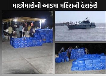 વલસાડ દરિયાકાંઠે કસ્ટમ્સની મોટી કાર્યવાહી, દમણથી આવતી બોટમાંથી 50 લાખનો દારૂ ઝડપાયો | valsad customs…