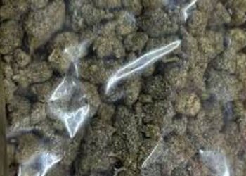 લઠ્ઠાકાંડ આરોપી ૧.૨૫ લાખના ૨ કિલો ૪૦૦ ગ્રામ ગાંજાના જથ્થા સાથે ઝડપાયો | A ares ren safeien opuchopuc…